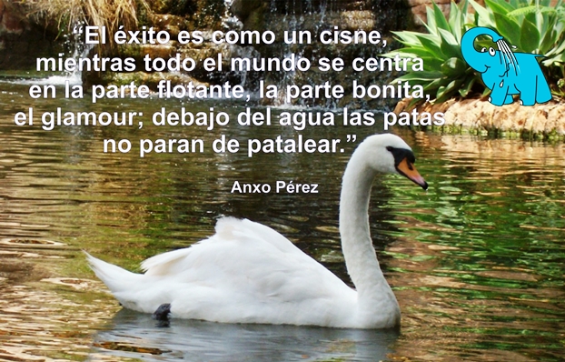 Una Enseñanza de Anxo Perez sobre el Exito, en La Frase del Día